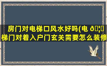 房门对电梯口风水好吗(电 🦆 梯门对着入户门玄关需要怎么装修 🐼 )